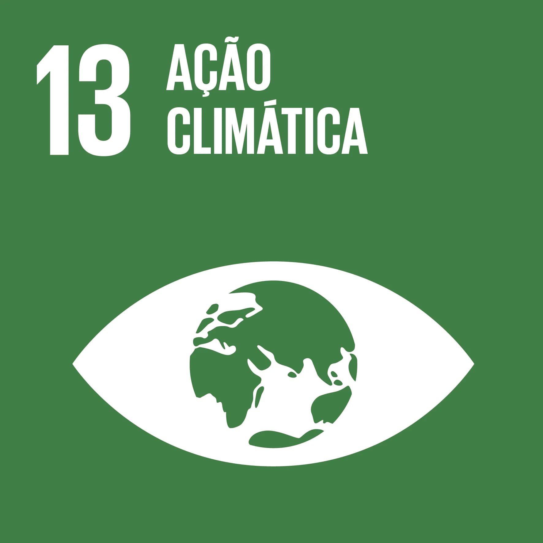 Logo ODS 13 - Ação Climática